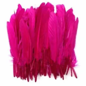 Tiny Goose Pointer Feathers 10 grams - Cerise