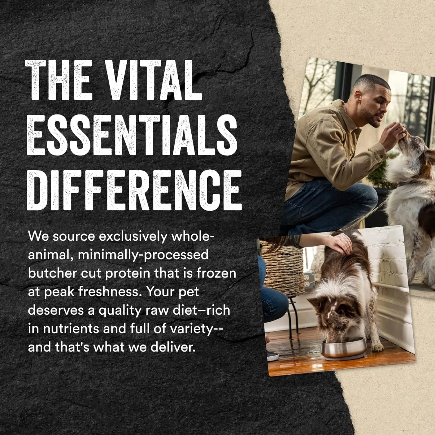 Vital Essentials Freeze Dried Raw Protein Mix-in Dog Food Topper, Chicken Ground Topper for Dogs, 6 oz