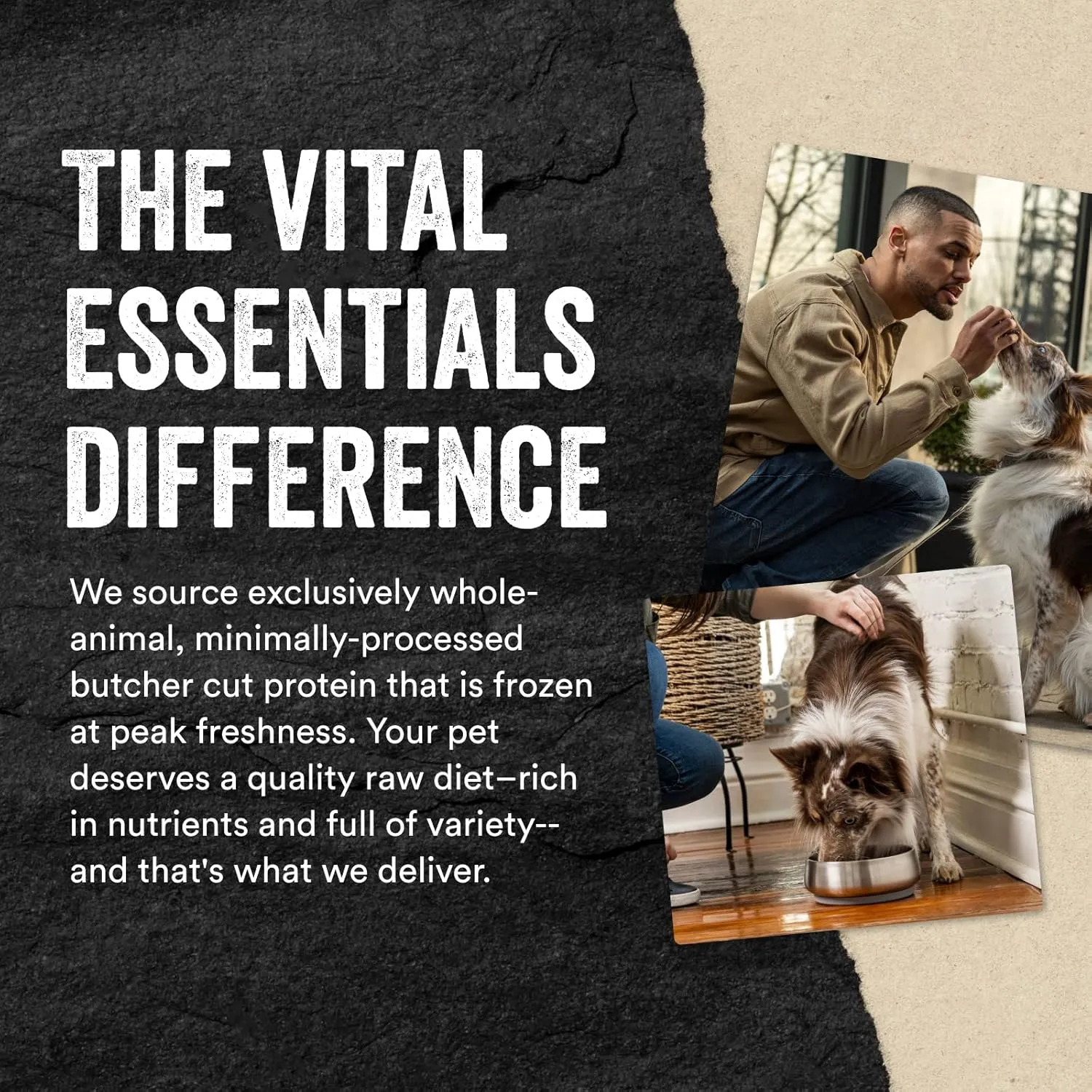 Vital Essentials Minnows Dog Treats, 1 oz | Freeze-Dried Raw | Single Ingredient |Premium Quality High Protein Training Treats | Grain Free, Gluten Free, Filler Free