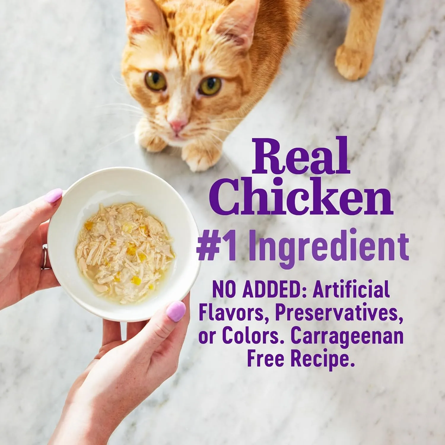 Wellness Appetizing Entres Shredded Adult Wet Cat Food, Natural, Protein-Rich, Grain Free, 1.4 Ounce Pouch, 8 Pack (Chicken & Salmon Recipe)