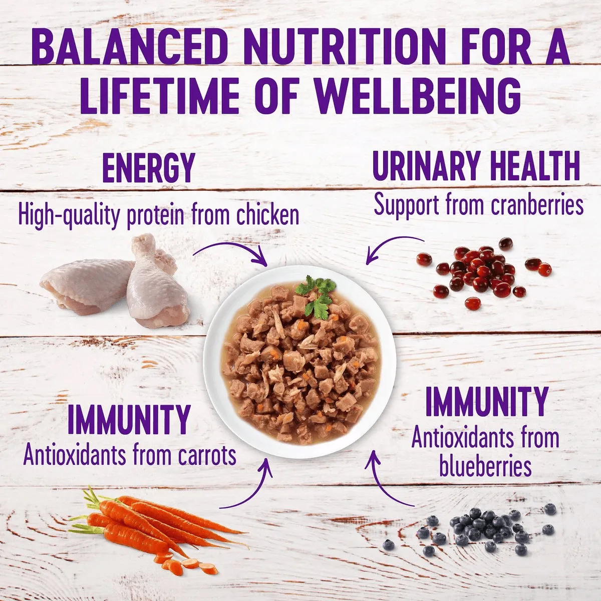 Wellness Healthy Indulgence Morsels Chicken & Chicken Liver Wet Cat Food