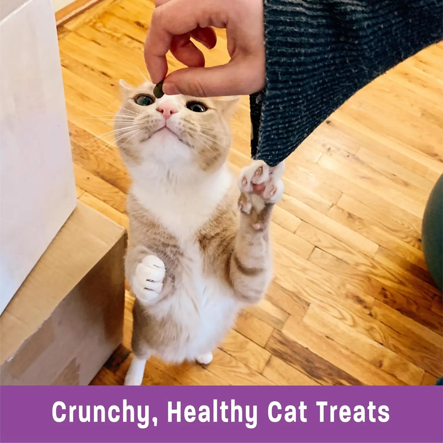 Wellness Kittles Crunchy Natural Grain Free Cat Treats, Chicken & Cranberries Recipe, All Life Stages, 2-Ounce Bag (Pack of 3)