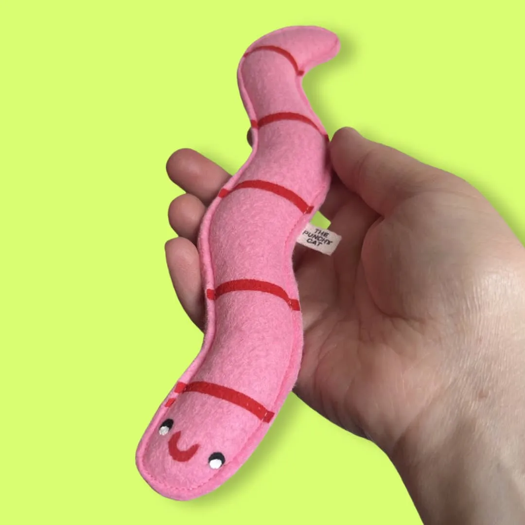 Worm Catnip Toy