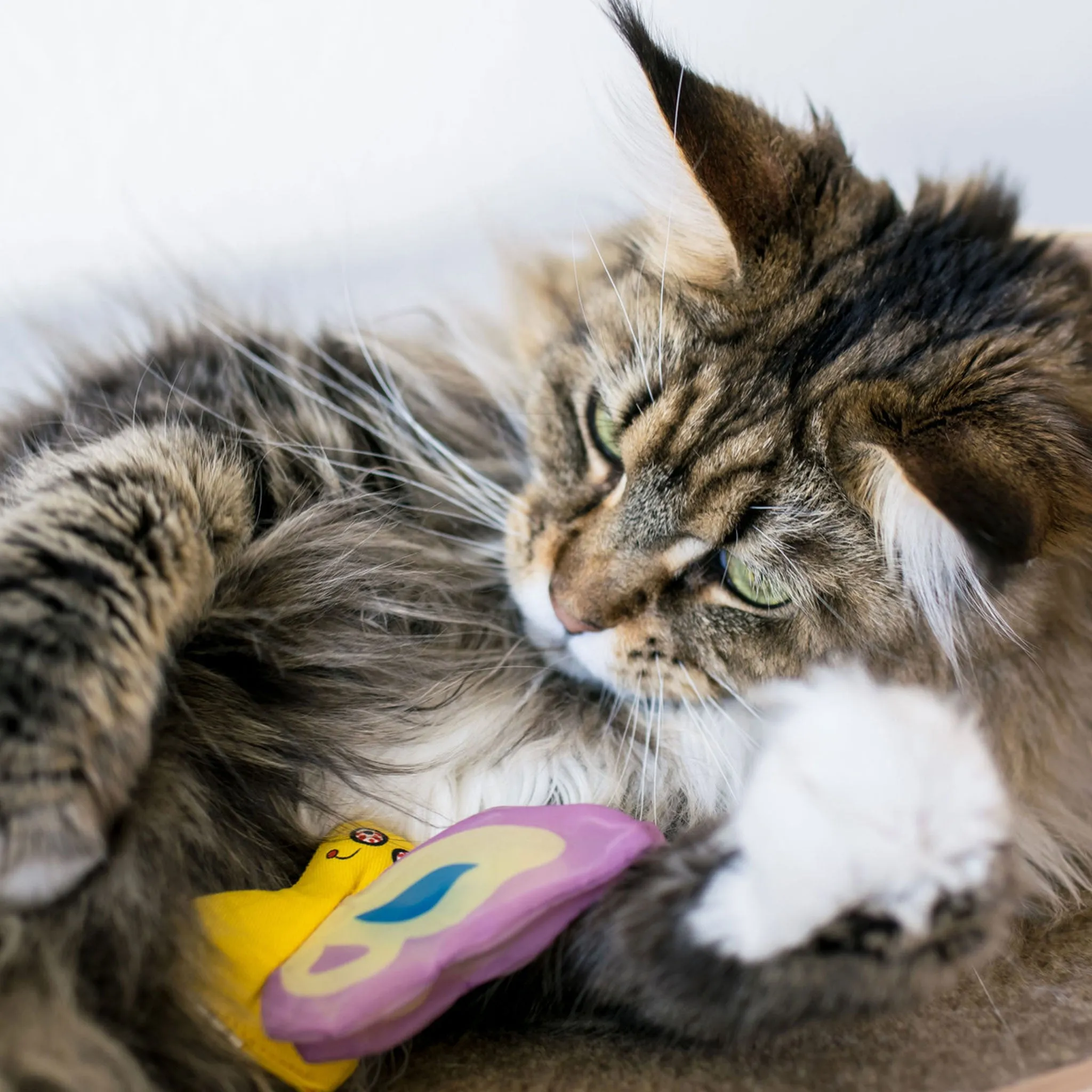 YEOWWW! Butterfly Catnip Toy - Purple