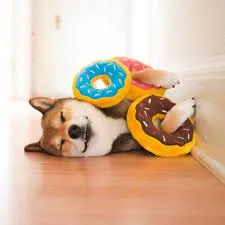 Zippy Paws Jumbo Rainbow Donutz Dog Toy