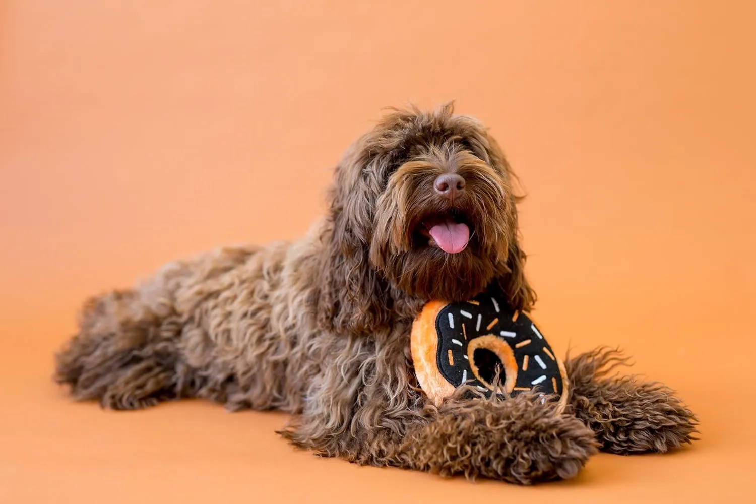 ZippyPaws Donutz - No Stuffing Dog Toys to Keep Them Busy, for Small and Medium Dogs, Squeaky Pet Toy for Boredom, Unstuffed Chew Toy, Soft Plush Puppy Products, Funny Food Toy - Pumpkin Spice Donut