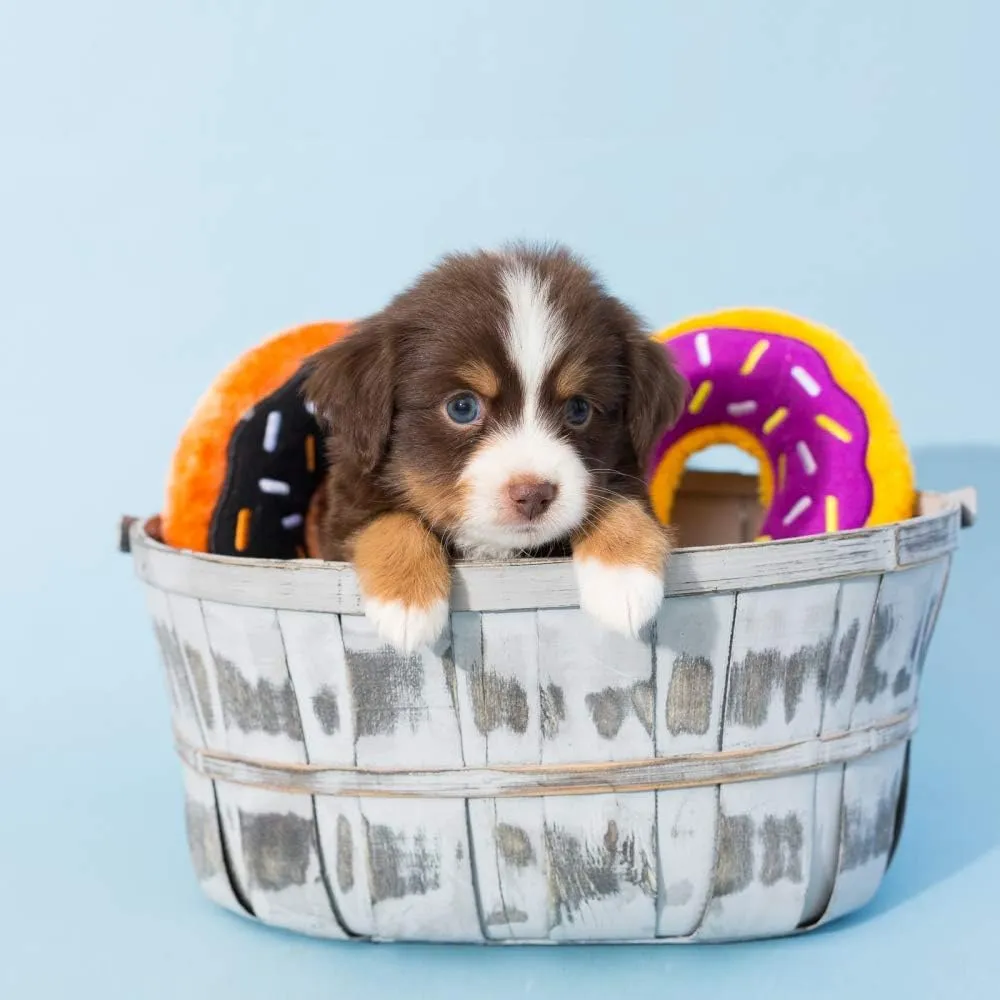 ZippyPaws Donutz - No Stuffing Dog Toys to Keep Them Busy, for Small and Medium Dogs, Squeaky Pet Toy for Boredom, Unstuffed Chew Toy, Soft Plush Puppy Products, Funny Food Toy - Pumpkin Spice Donut