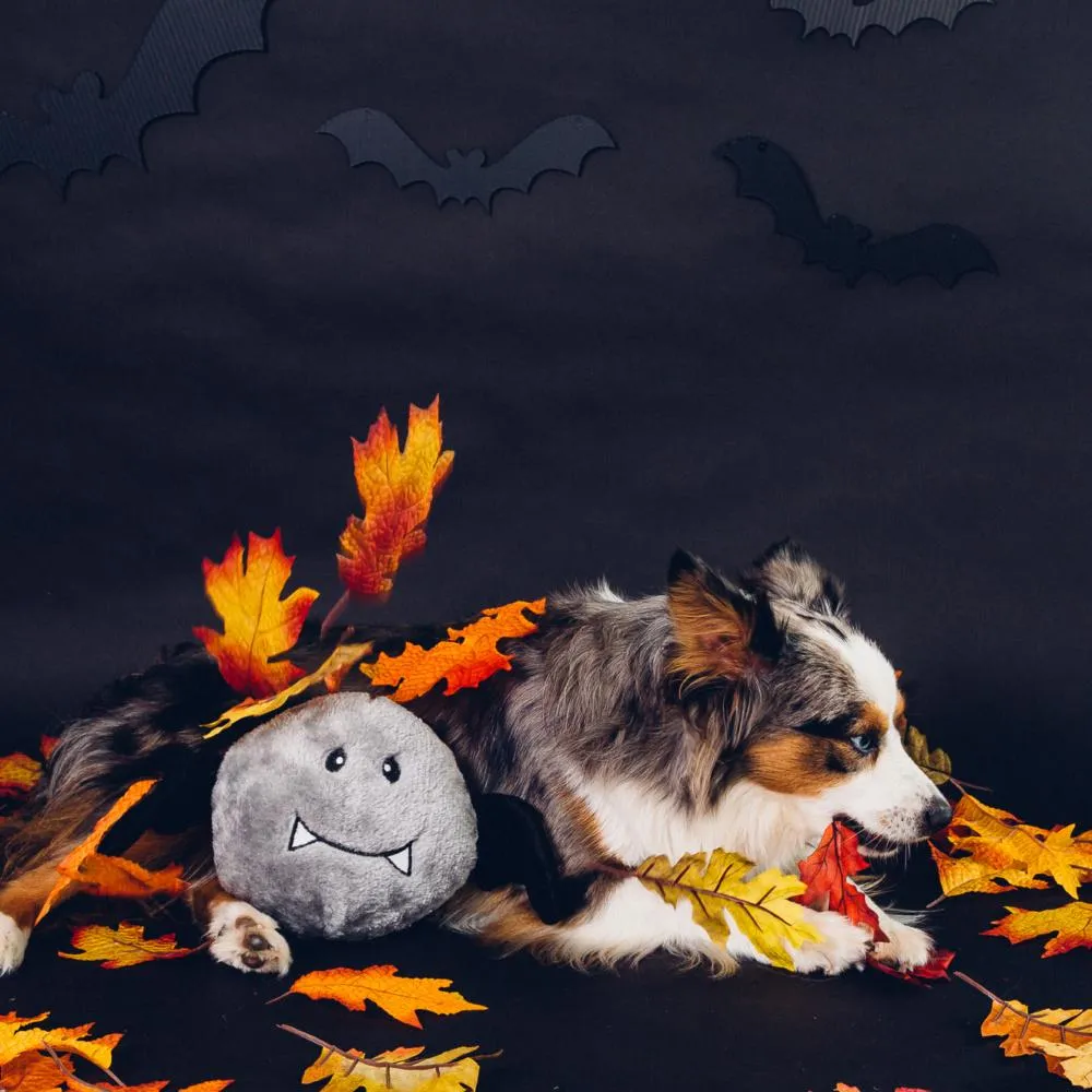 ZippyPaws Halloween Brainey Bat Plush Dog Toy (Plush Dog Toy)