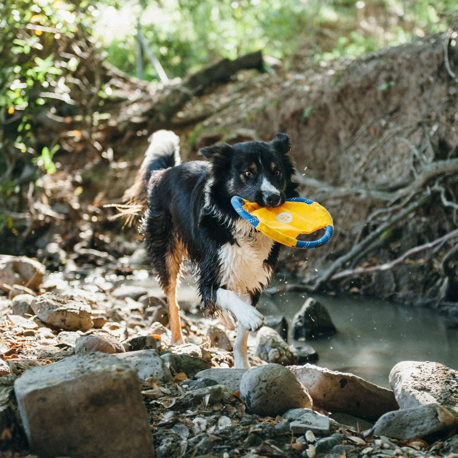 ZippyPaws - Rope Gliderz Durable Outdoor Dog Toy Flying Disc - Yellow