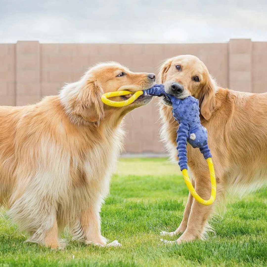 ZippyPaws - RopeTugz Blue Monkey Dog Toy - Durable Rope, Squeaky Chew Toy, Perfect for Tug of War, Suitable for Small, Medium, and Large Breeds - Machine Washable
