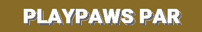Home Comfort & Pet Fun | Pet Doors, Chew Toys, ZippyPaws & Wellness Brands